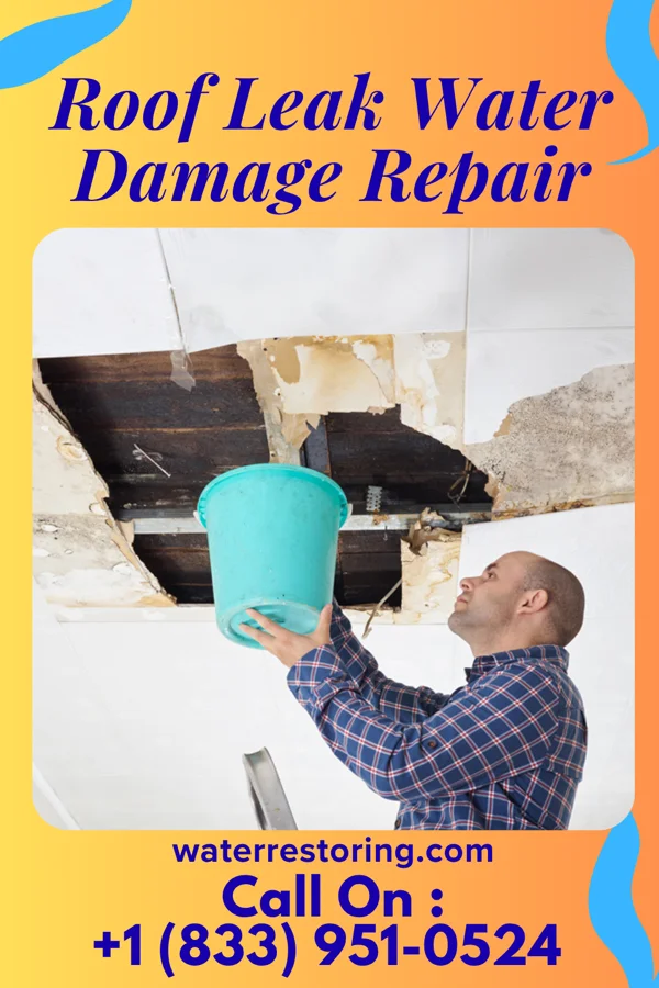 Roof Leak Water Damage Repair in Avimor, ID